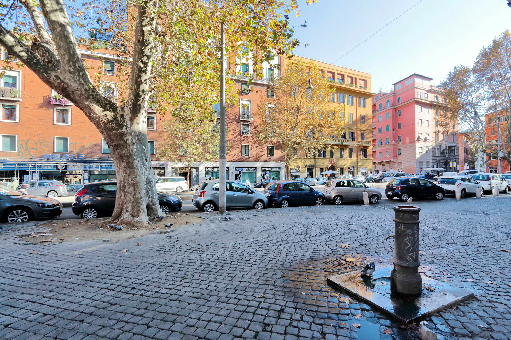 Sonnino