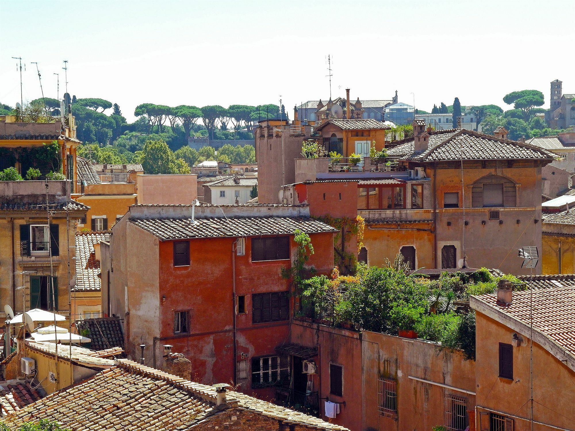 Guest house Sonnino